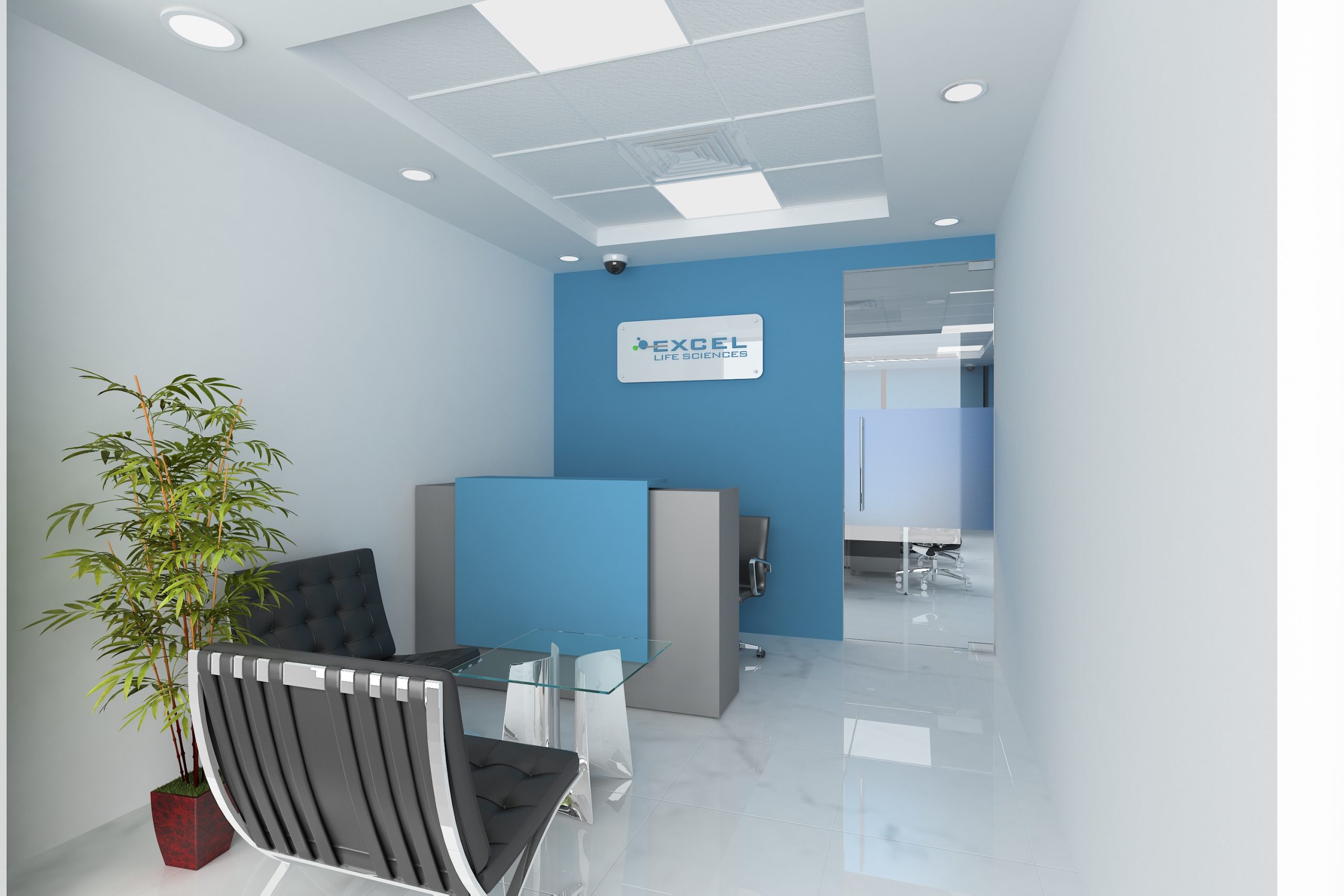 Excel Life Science, Noida